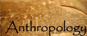 Career in Anthropology