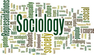 Career in Sociology